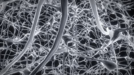 Neuronas-Cerebro-Mente-Axón-Pensamiento-Red-Neuronal-Holograma-Célula-Salud-Ciencia-4k